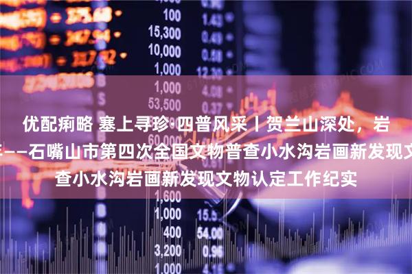 优配痢略 塞上寻珍·四普风采丨贺兰山深处，岩画“开口”说千年——石嘴山市第四次全国文物普查小水沟岩画新发现文物认定工作纪实