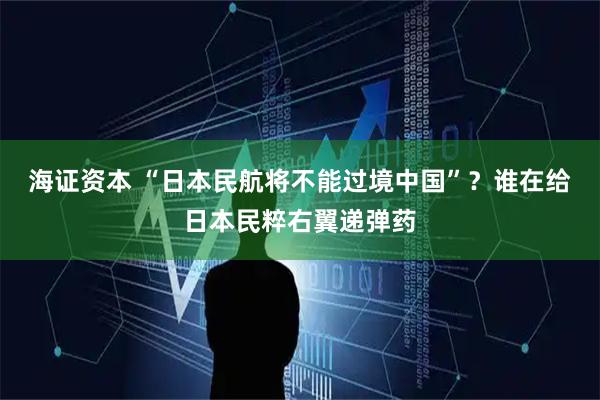 海证资本 “日本民航将不能过境中国”？谁在给日本民粹右翼递弹药