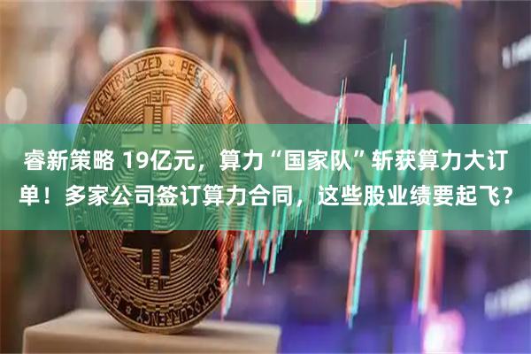 睿新策略 19亿元，算力“国家队”斩获算力大订单！多家公司签订算力合同，这些股业绩要起飞？