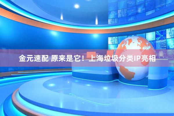 金元速配 原来是它！上海垃圾分类IP亮相