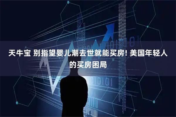 天牛宝 别指望婴儿潮去世就能买房! 美国年轻人的买房困局